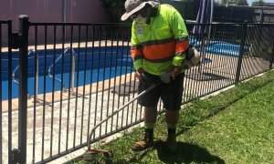 Whipper Snippering Services Brisbane